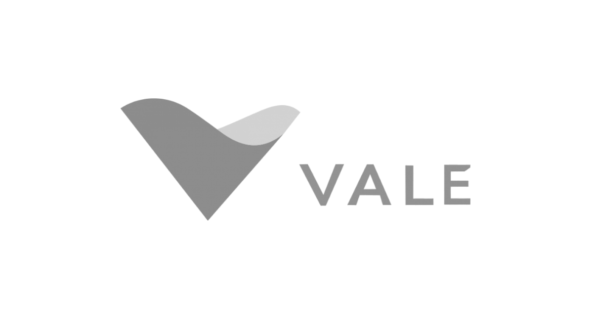 Logo VALE (1)